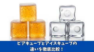 ビアキューブとアイスキューブの違いとは？5つの項目で徹底比較！ 