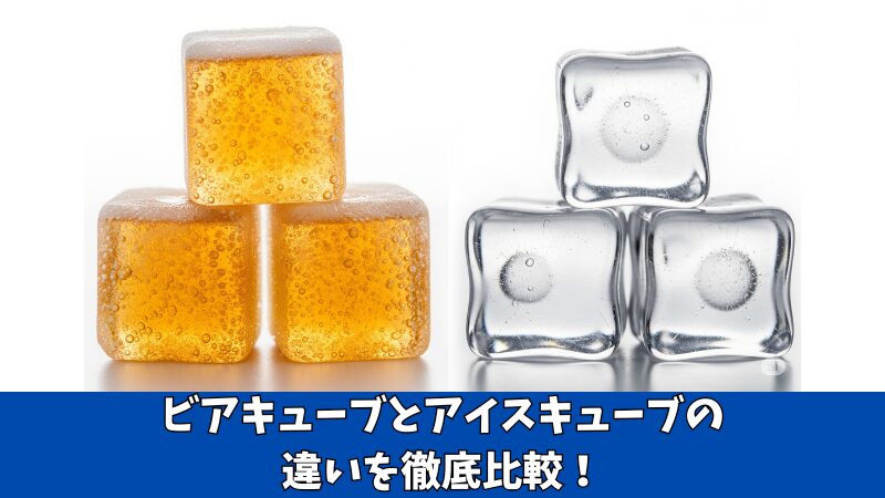 ビアキューブとアイスキューブの違いとは?5つの項目で徹底比較!