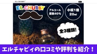エルチャビィの口コミはどう？利用者の評判を徹底調査！ 