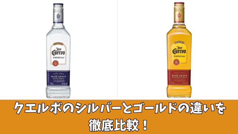 クエルボのシルバーとゴールドの違いは?5つの項目で徹底比較!
