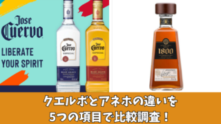 クエルボとアネホの違いを徹底比較！初心者にも分かりやすく5つのポイントで解説 